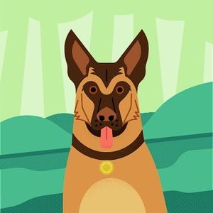 Meet your Posher, Kristie